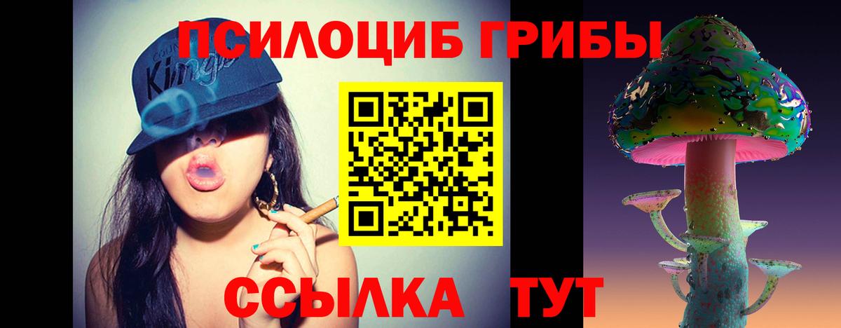 Галлюциногенные грибы Psilocybine cubensis  Вход с VPN  Гудермес 