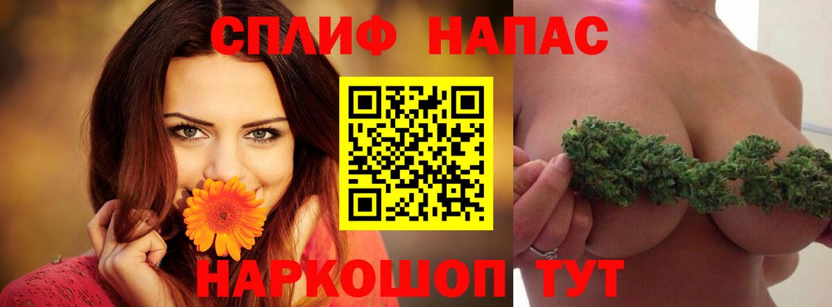 Каннабис OG Kush Гудермес