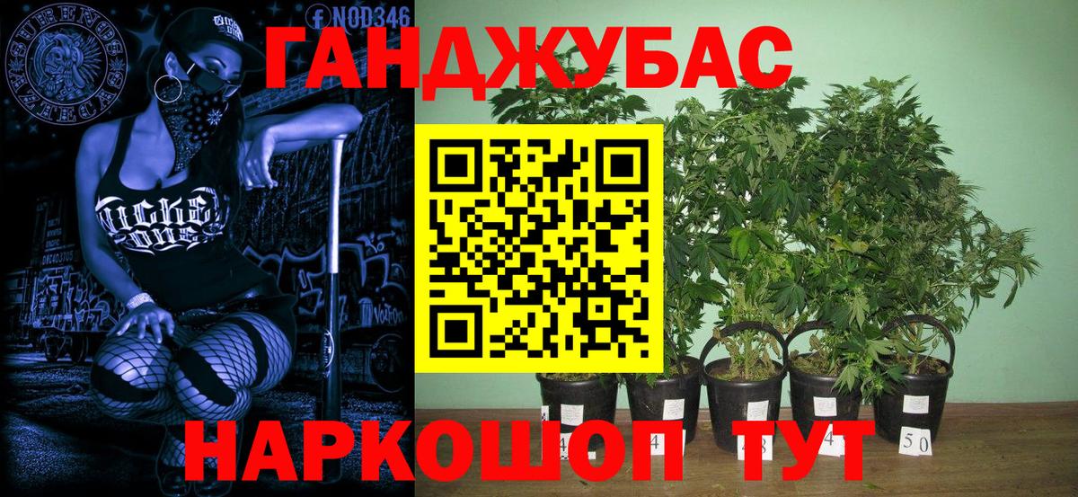 Гудермес  Канабис планчик  Конопля планчик  Вход с VPN 